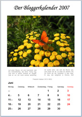 Bloggerkalender Juni PDF
