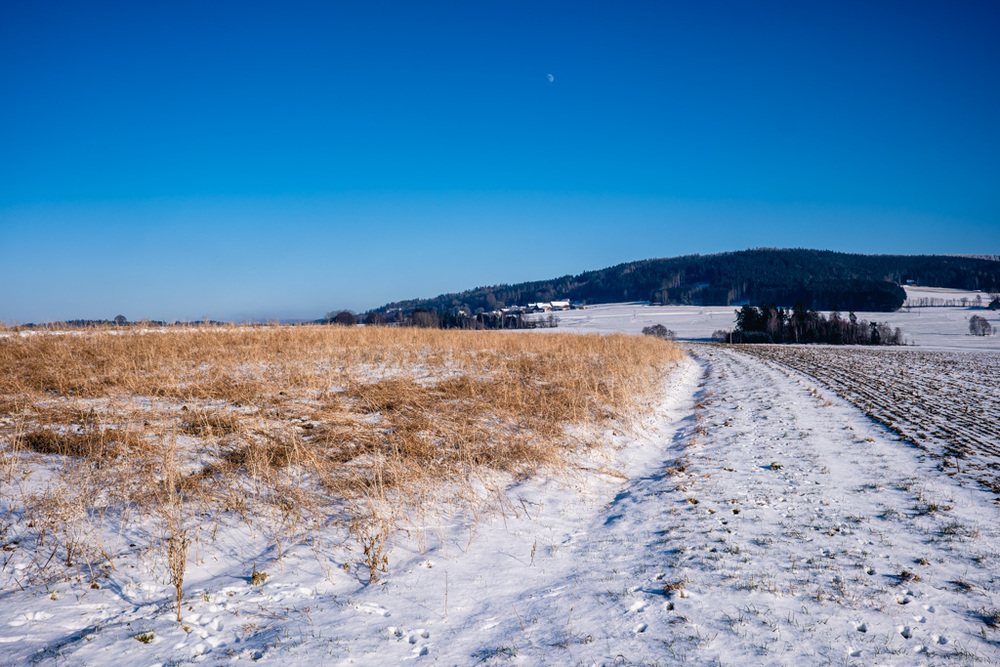 ein Blick auf die winterliche Landschaft, kleiner Hügel, links und rechts Feld